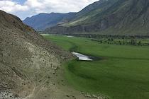 Алтай Долина реки Чулышман Здесь очень зелено