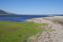 Байкал Острова и берега Малого Моря Галечная полоса среди воды