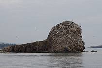Остров Едор, он же Беленький, населенный бакланами