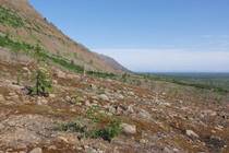 Енисейский край Талнах и Красные камни Отроги и склоны с эпизодической растительностью