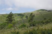 Зелёные склоны кунаширских гор