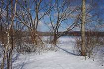 Подмосковье На берегах Большого озера после первоапрельского снегопада Озеро окружено деревьями