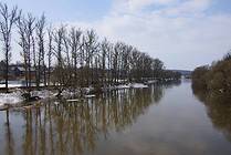 Река Протва и ровный ряд деревьев