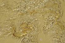 Вне направлений Текстуры Движение воды по песку
