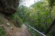 Сочи Агурское ущелье, Агурские водопады Тропа на склоне
