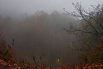 Rain and mist, 13/10/2011